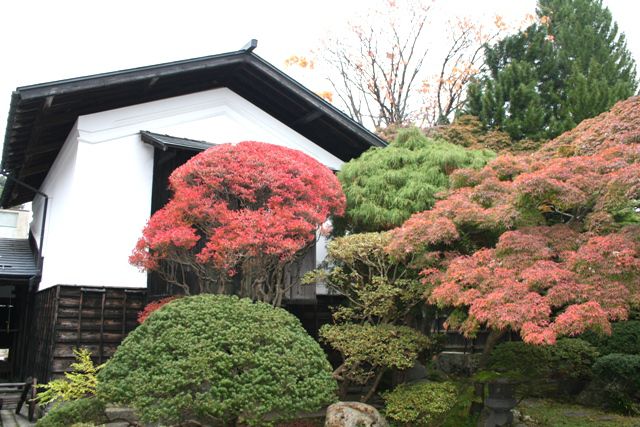 ’１３紅葉情報　宮地区（１１月７日）