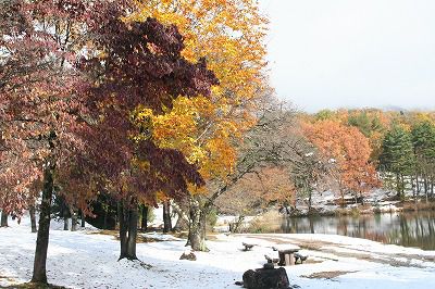 ’13紅葉情報　西根地区【11月14日】