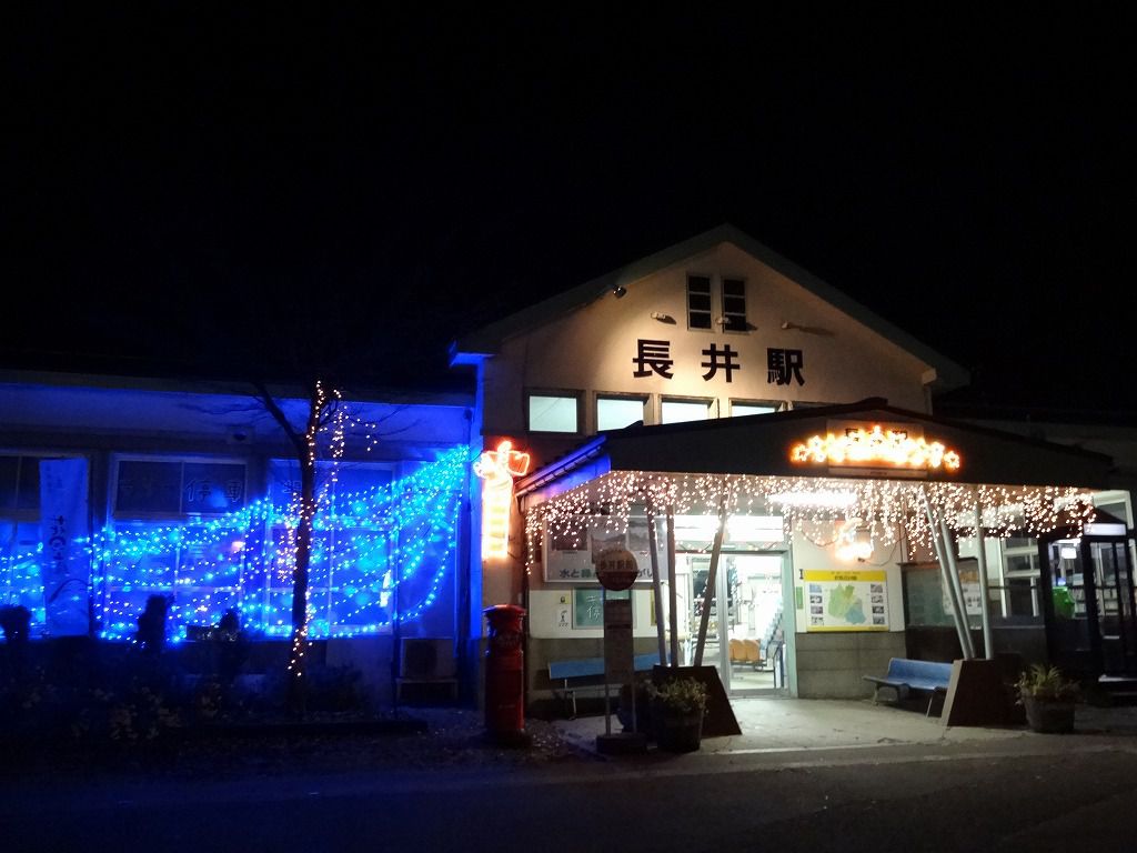 イルミネーション点灯開始です！