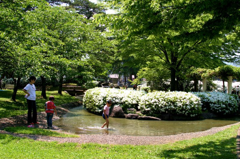 平成２６年度「白つつじまつり」情報