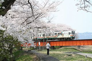 '14長井市内の桜情報～郊外編～