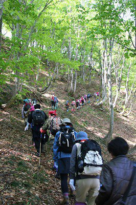 葉山民衆登山のお知らせ
