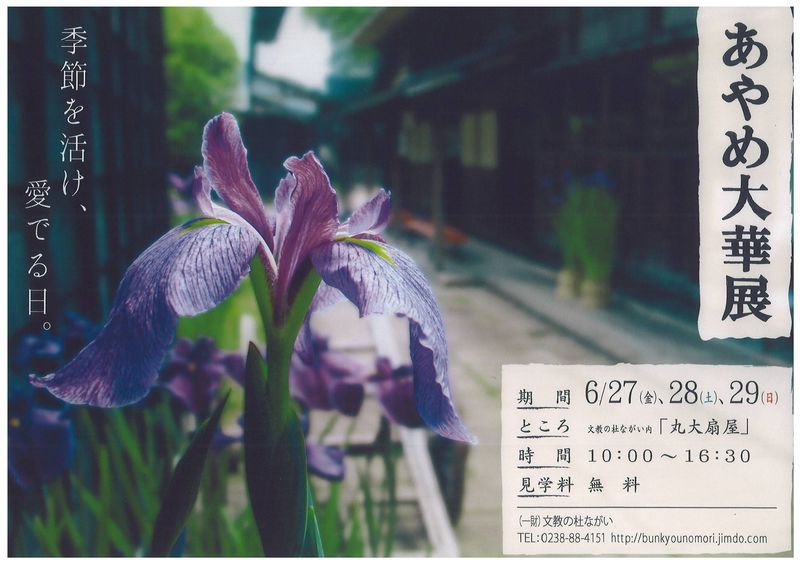 あやめ大華展の開催