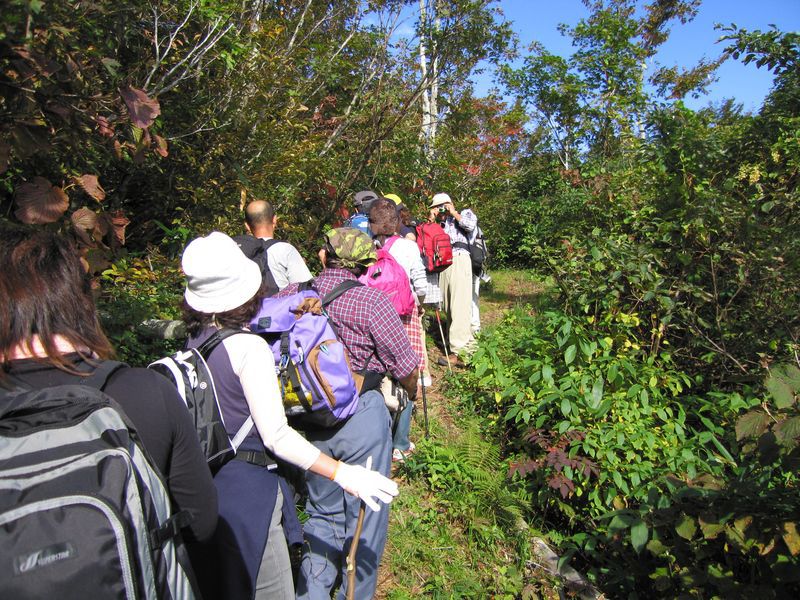 葉山清掃登山参加者募集