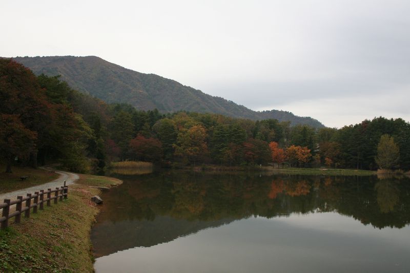 【14' 紅葉情報】 紅葉が見ごろの「古代の丘」(10月20日)