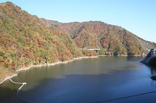 【'14 紅葉情報】 長井ダム方面(10月24日)