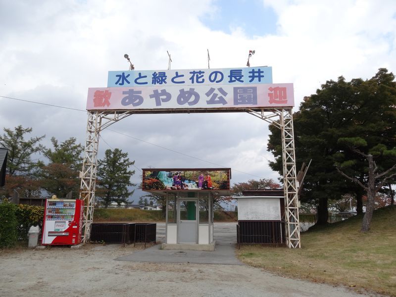 【'14 紅葉情報】 あやめ公園(10月27日)