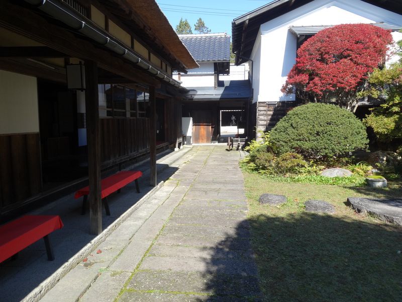 【'14 紅葉情報】 丸大扇屋(10月30日)