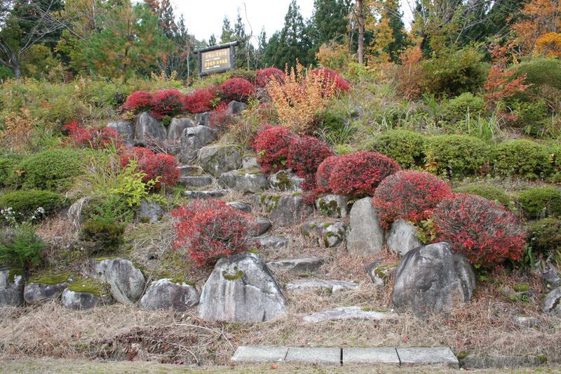 【'14 紅葉情報】 葉山森林公園(10月31日)