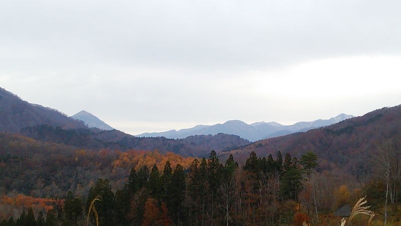 野川渓谷の山岳情報です。（11月10日）
