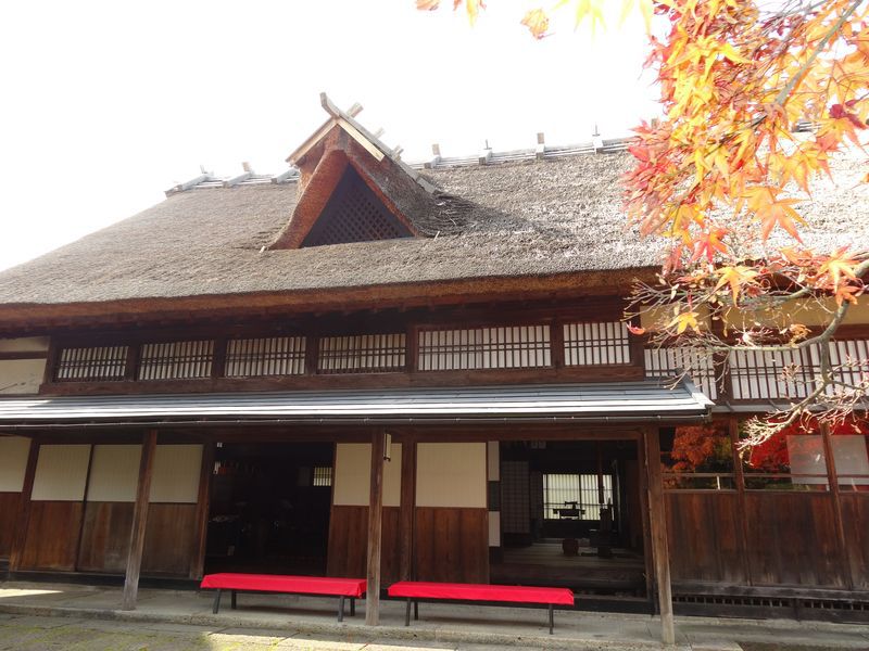 【'14 紅葉情報】 丸大扇屋（11月14日）