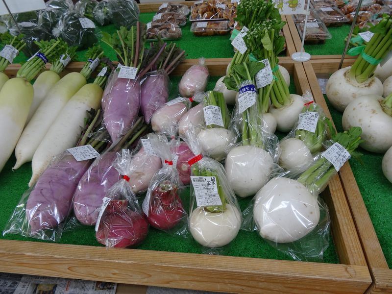 おらんだ市場菜なポート情報(11月14日)