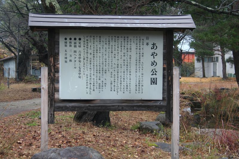 【’14　紅葉情報】あやめ公園（11月19日）