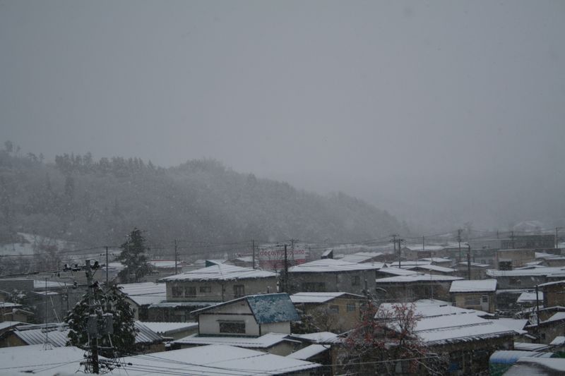 【'14 積雪情報】 長井市役所周辺(12月3日)