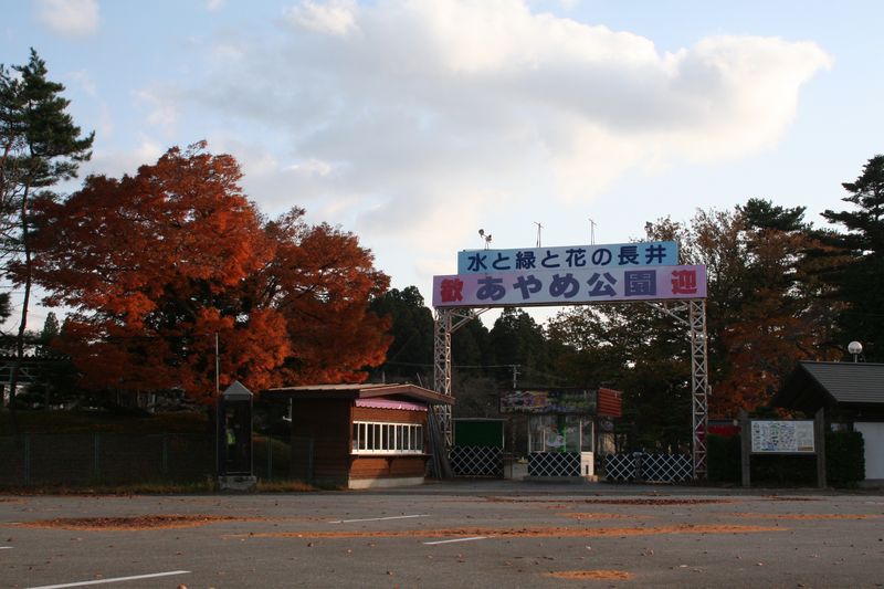 2014年 長井市紅葉総集編『あやめ公園編』
