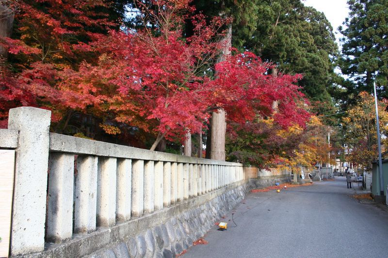 2014年 長井市紅葉総集編『總宮神社編』