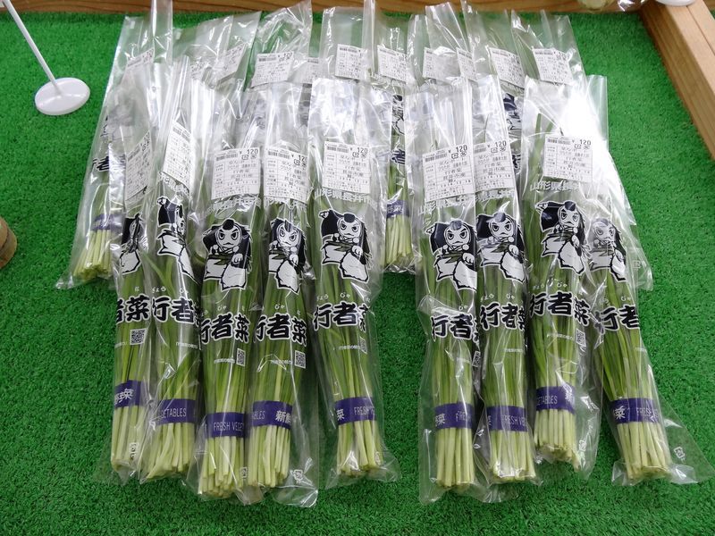 行者菜　出荷開始です！