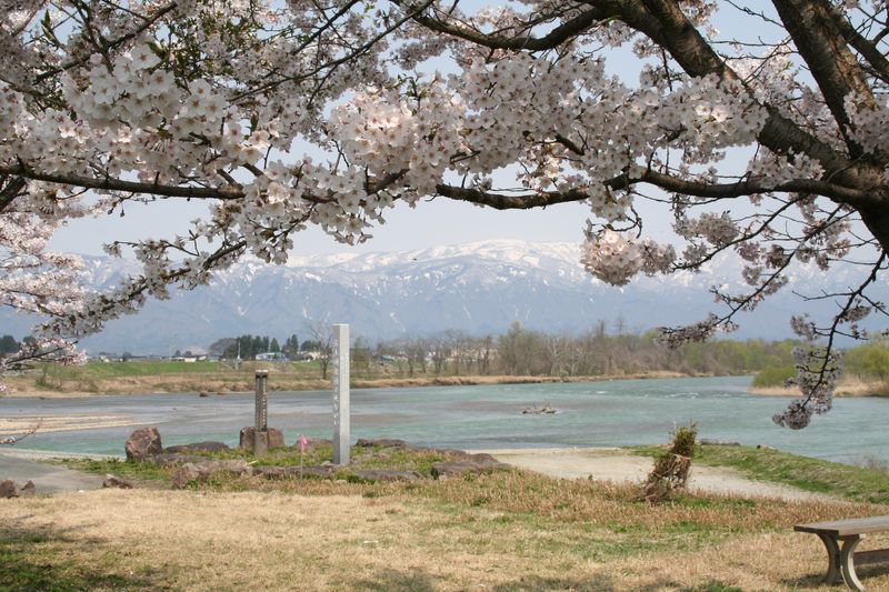 2014年のできごと・春（4月～6月）