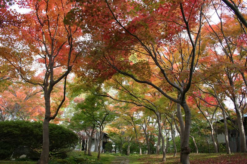 2014年のできごと・秋（10月～12月）