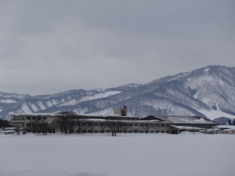 【'15 積雪情報】 西根地区(1月13日)