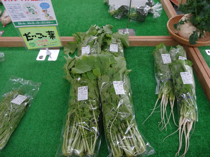 おらんだ市場菜なポート情報(2月2日)