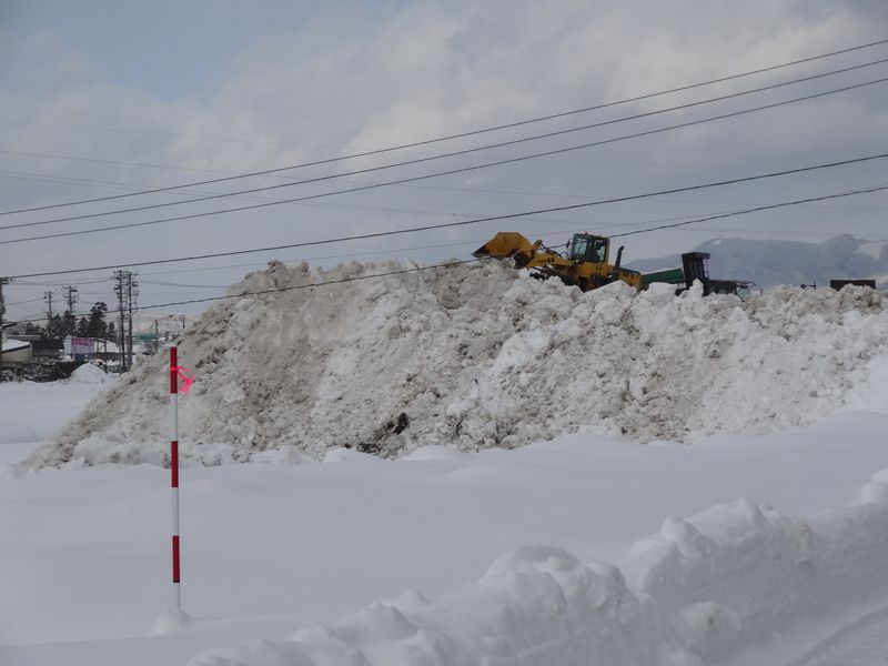【'15　積雪情報】野川橋付近とあやめ公園（2月3日）