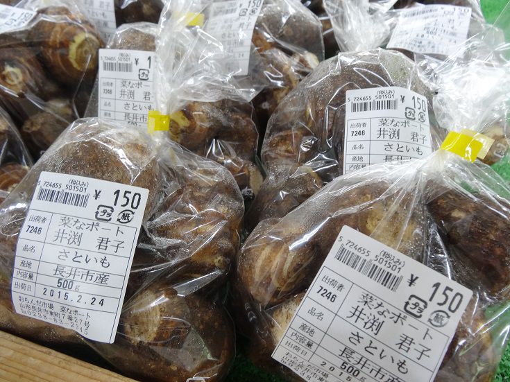 おらんだ市場菜なポート情報(3月2日)