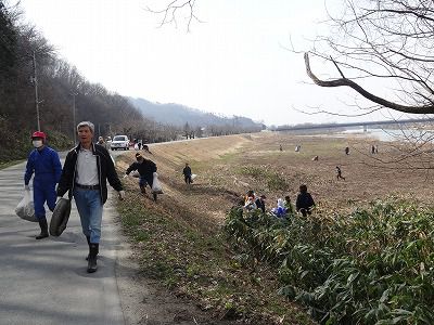 最上川千本桜クリーン作戦を実施しました