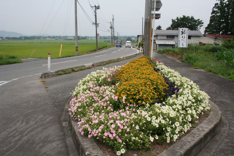 「おらんだの花いっぱい報告会」開催のお知らせ