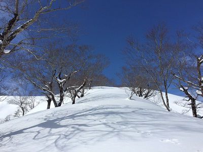 葉山登山道情報