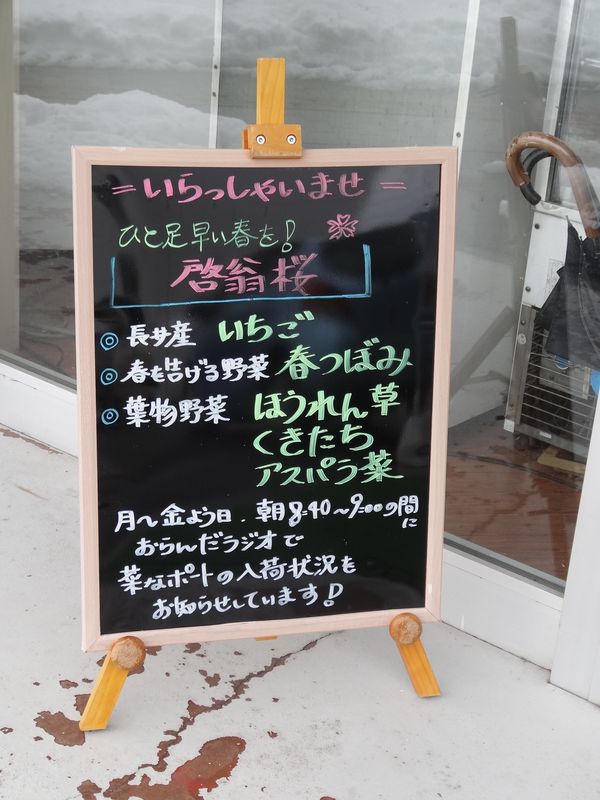 おらんだ市場　菜なポートは桜の商品がいっぱいです♪