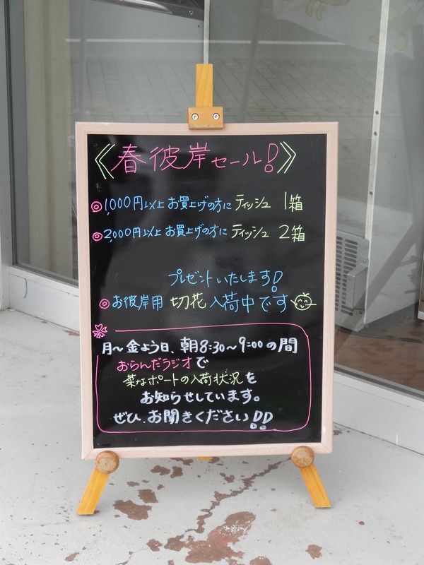 おらんだ市場　菜なポート情報♪（３月２３日）