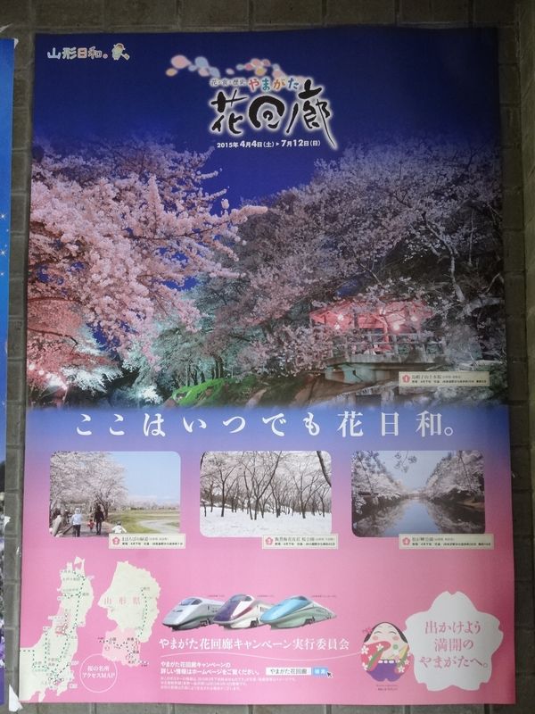 やまがた桜回廊（おきたま・かみのやま）