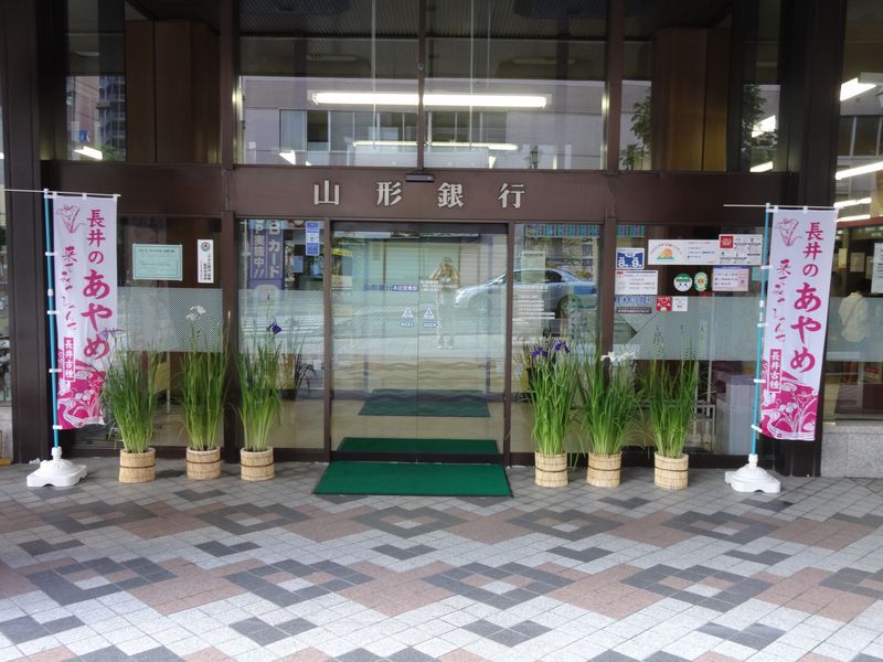 あやめ苗圃場の様子