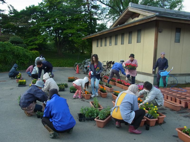 あやめ公園での花植栽事業が行われました！
