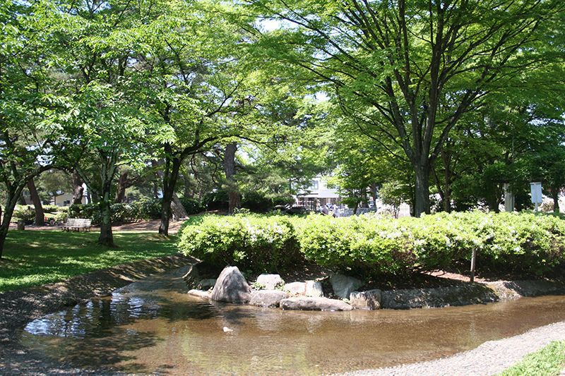 白つつじ公園の環境美化活動を実施頂きました！