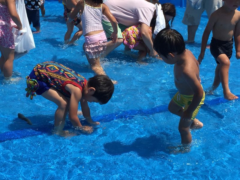 <<ながい水まつり・最上川花火大会が開催されました>>
