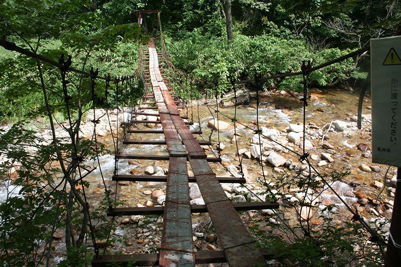 祝瓶山登山ルート「角楢吊橋」の点検完了！