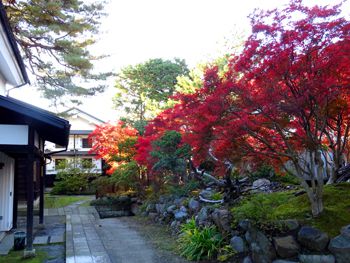 【今がピーク】やませ蔵美術館の紅葉が見頃です！