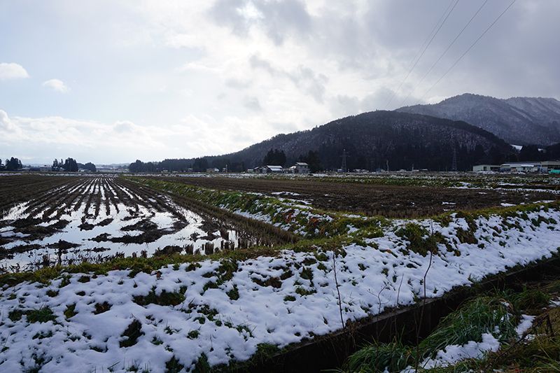 ’15長井の積雪情報（12月21日）