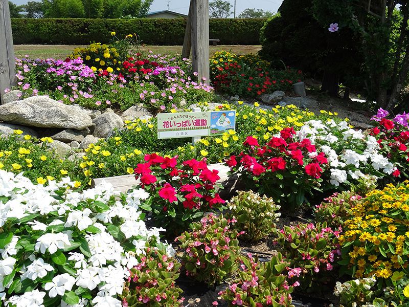 おらんだの花いっぱい報告会を開催します！
