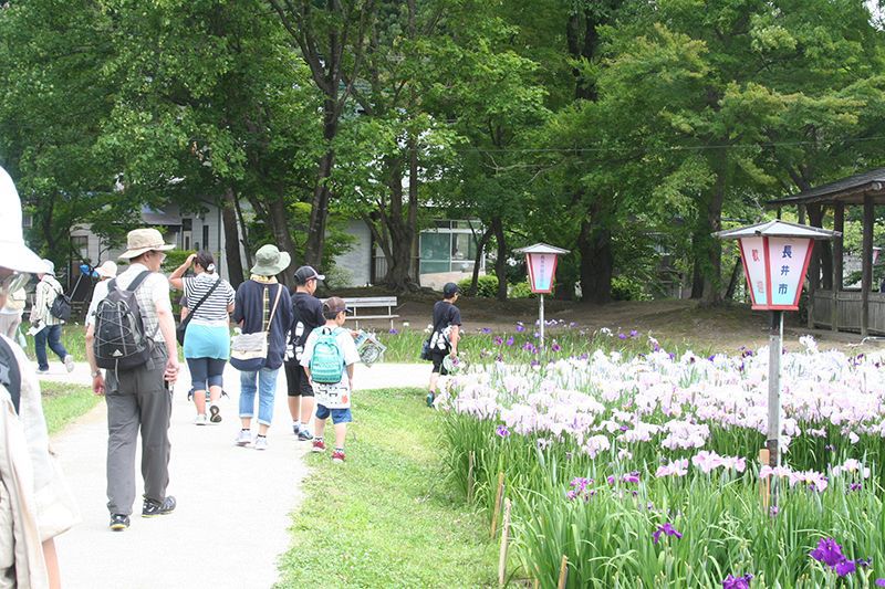 平成28年度長井市のお祭り・イベント日程のお知らせ