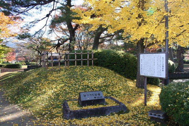 ’13紅葉情報 小出地区(11月15日)