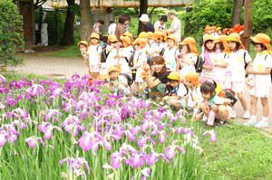 ☆あやめ公園遠足☆…６/２９（火）