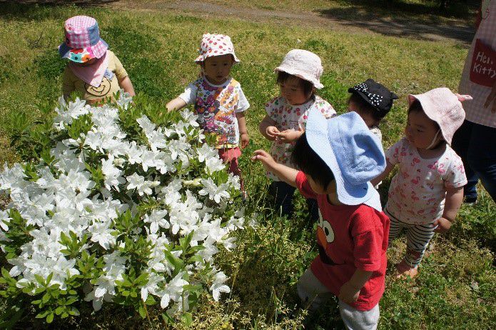 つつじのお花を見てきたよ♪