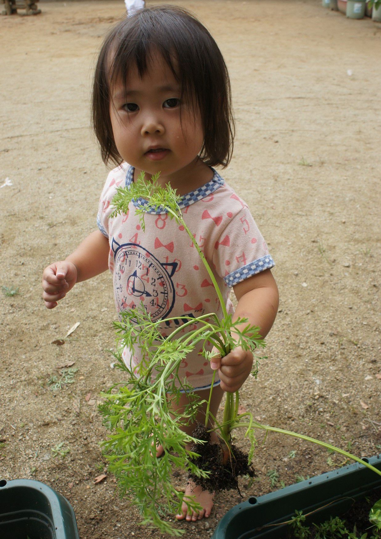 かわいいにんじん！