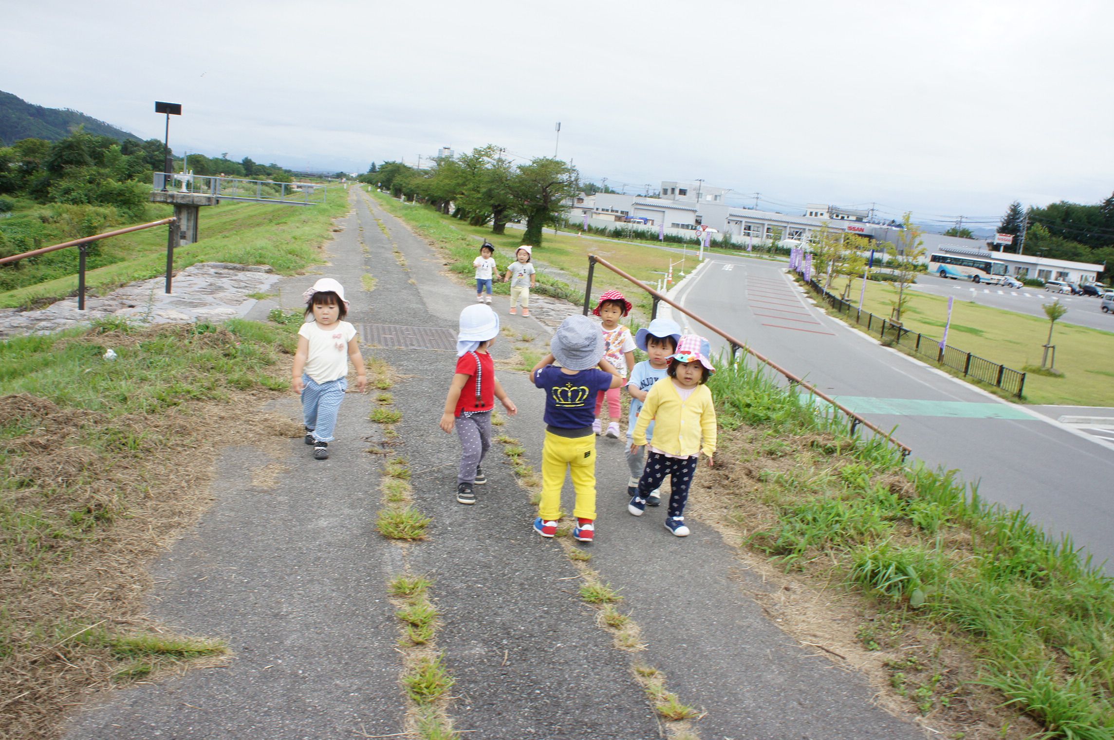 秋の土手に散歩に行ってきたよ♪