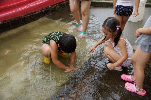 年長組☆お魚のつかみ取りをしたよ！