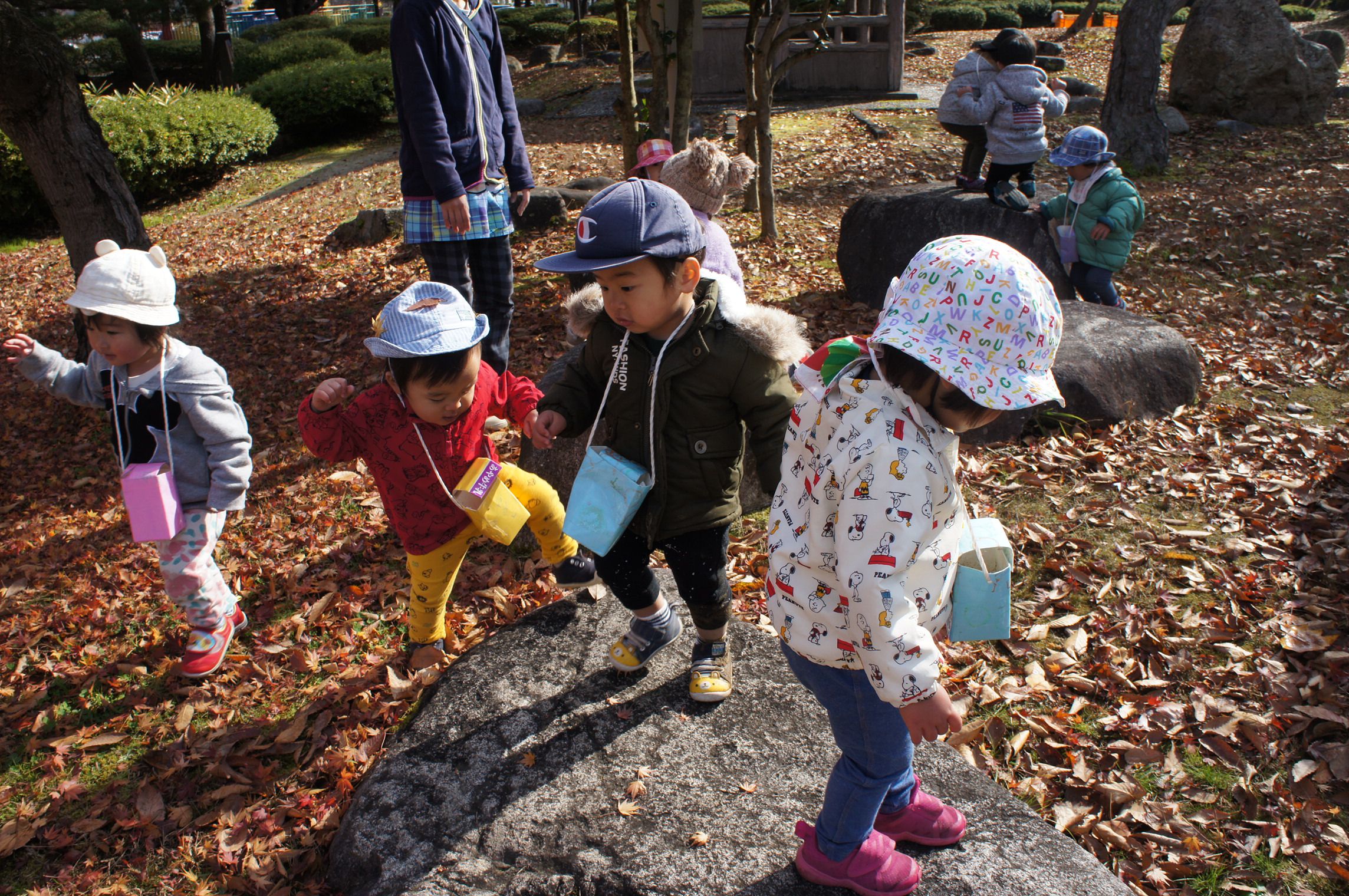 ～秋色のつつじ公園にきたよ～
