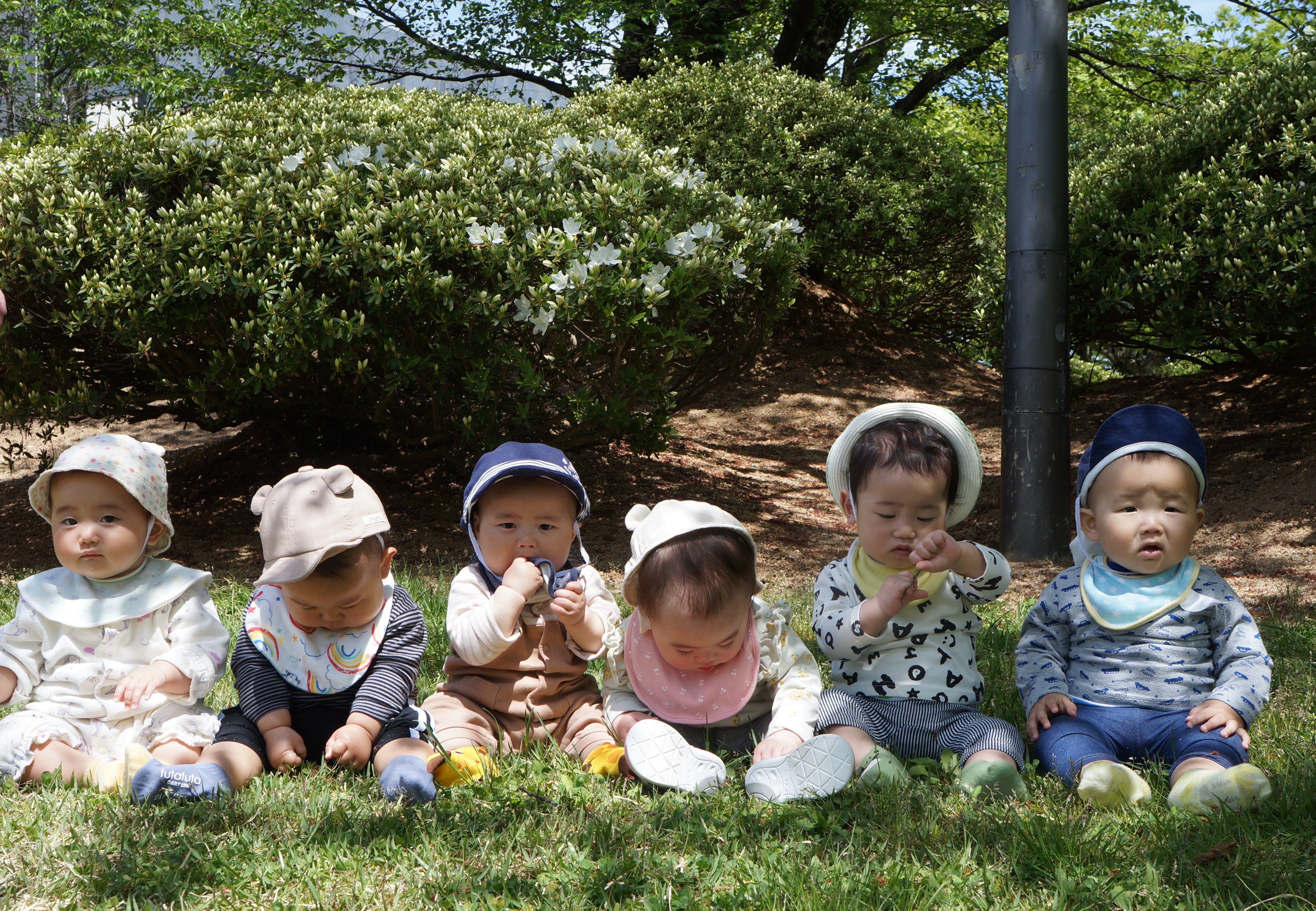 つつじ公園に…(*^^*)　～ひよこ組～